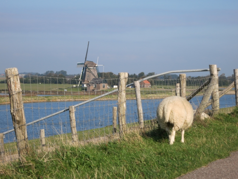Holanda Septentrional